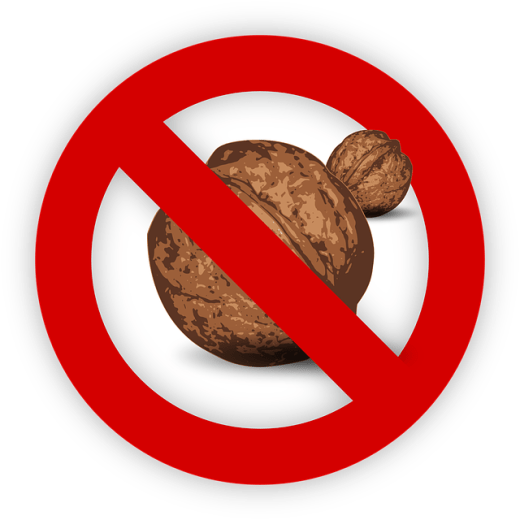 tree-nut-995054_640.png