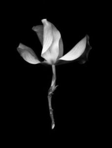 f794a5a258e63dc1749811e278da7c51